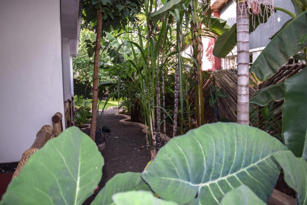 Little Arusha Hostel Image 10